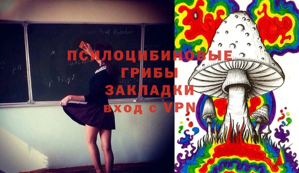 spice Алексин