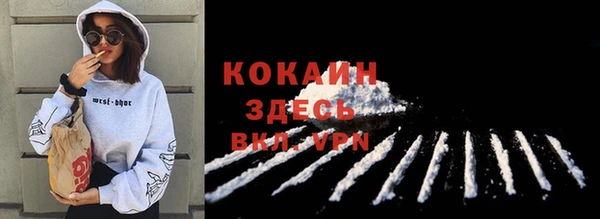 spice Алексин