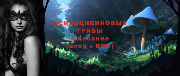метадон Слюдянка