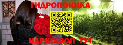 гидра Лениногорск