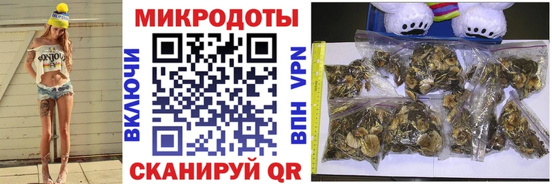 Галлюциногенные грибы Magic Shrooms Невинномысск