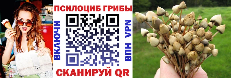 продажа наркотиков  Невинномысск  hydra как войти  Псилоцибиновые грибы Magic Shrooms 