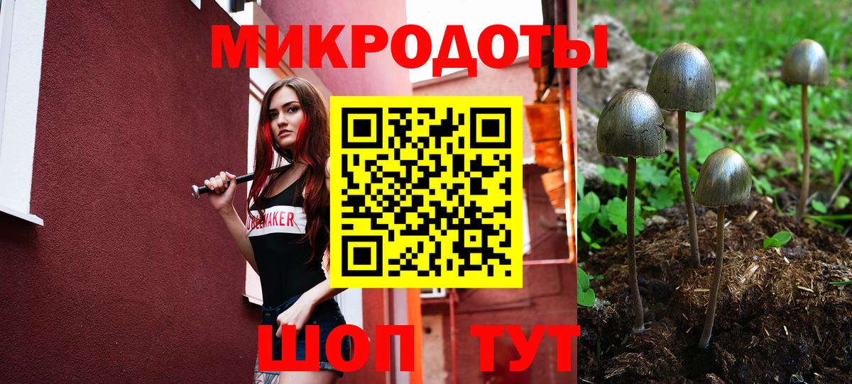 Невинномысск  Галлюциногенные грибы Psilocybe  Вход с VPN 