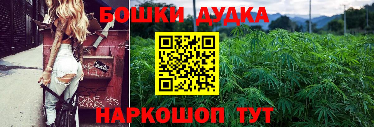 Бошки марихуана OG Kush  Конопля Amnesia  Невинномысск  Вход с VPN  Марихуана семена 